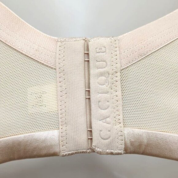 Lane Bryant Cacique Max Swell Plunge Bra Size 48DDD Cafe Mocha - Picture 6 of 10